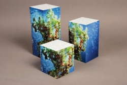 5-Sided Riser Boxes; Acrylic Fabricated w/Mitered Joints; Digital Printing on Vinyl Laminate
